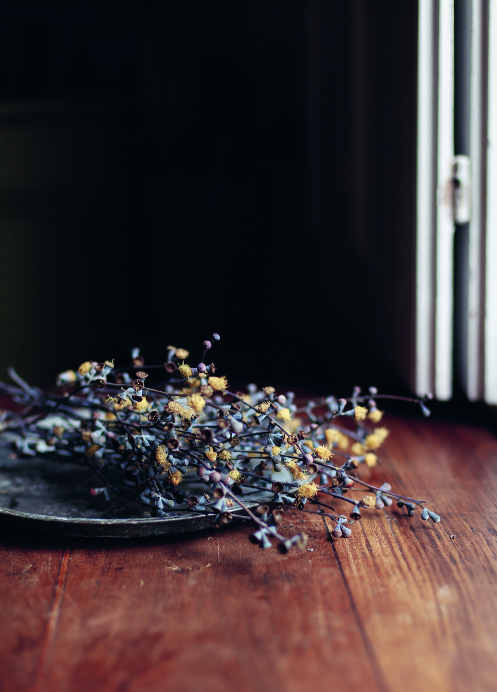 The Beauty of Dried Flowers With Carolyn Dunster, Author of 'Cut