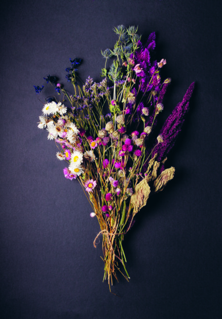 For the Library: an expert guide to the beauty of dried flowers