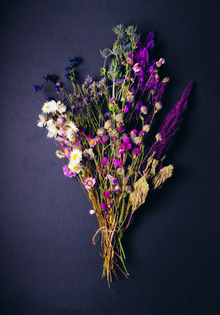 The Beauty of Dried Flowers