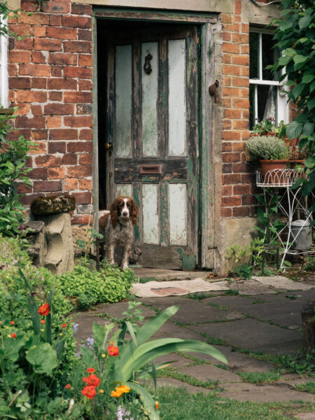 A Home with a History: how rescued treasures bring timeless pleasure in a Derbyshire cottage
