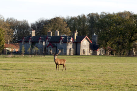 A Night Away: at the Gunton Arms, where culture, comfort and country life commingle