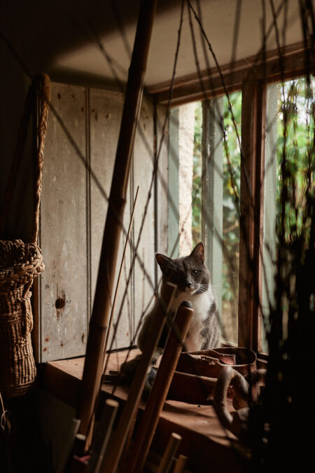 Inigo & The New Craftsmen: willow basket weaving with Hilary Burns